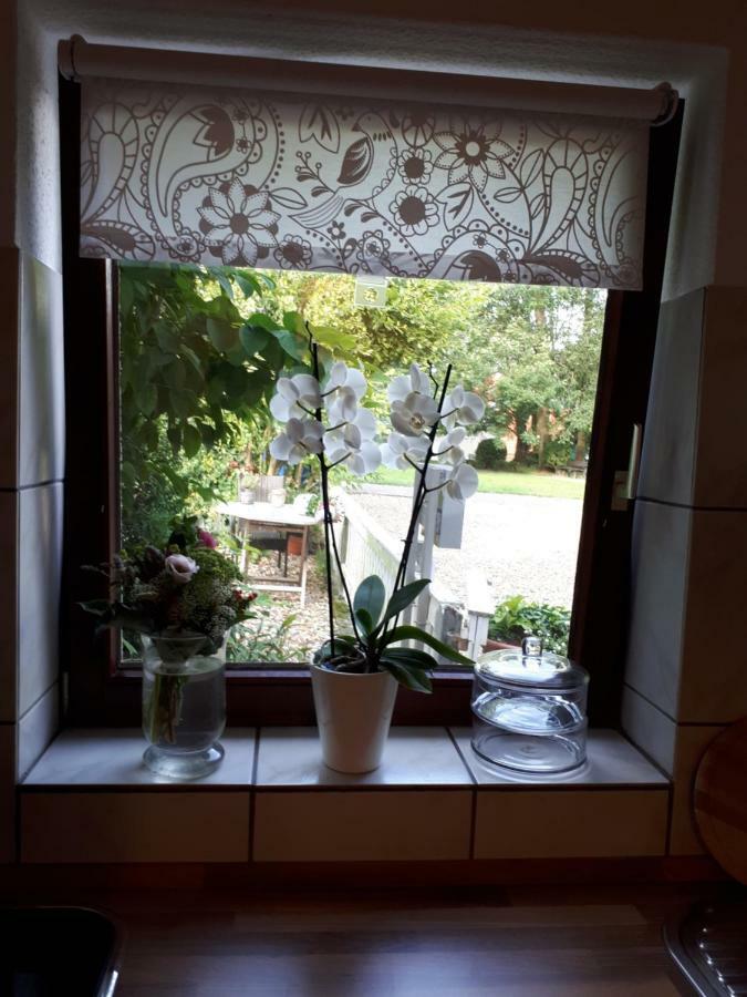 Ferienwohnung Weitblick Wolfshagen  Екстериор снимка