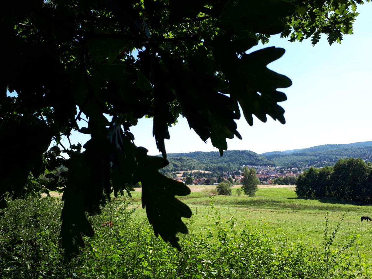 Ferienwohnung Weitblick Wolfshagen  Екстериор снимка