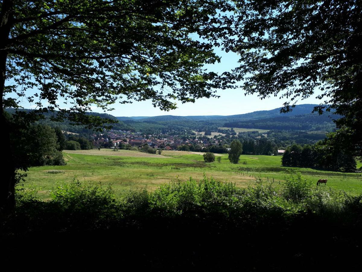 Ferienwohnung Weitblick Wolfshagen  Екстериор снимка