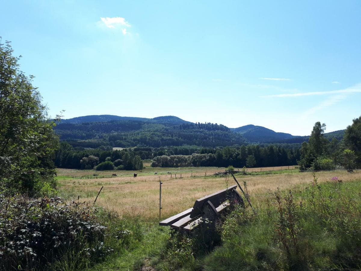 Ferienwohnung Weitblick Wolfshagen  Екстериор снимка