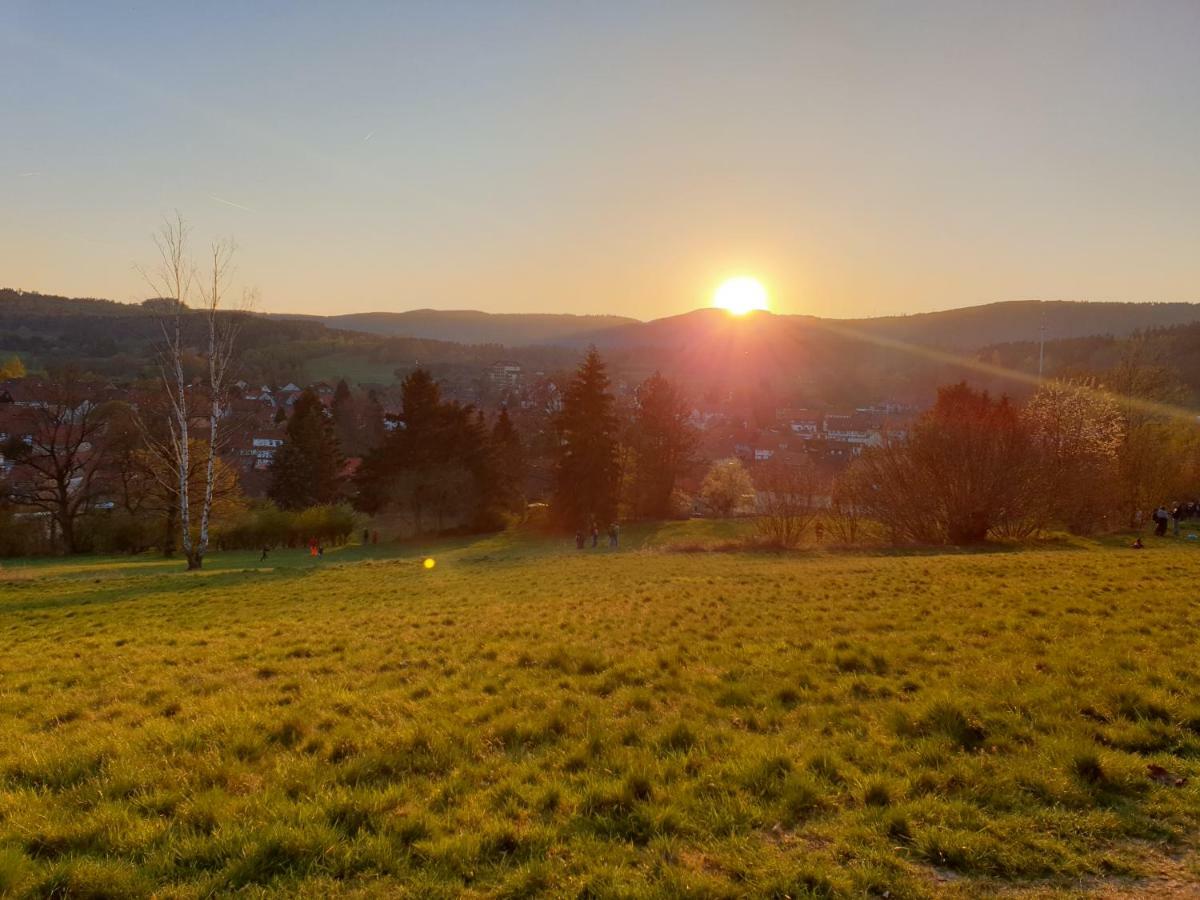 Ferienwohnung Weitblick Wolfshagen  Екстериор снимка